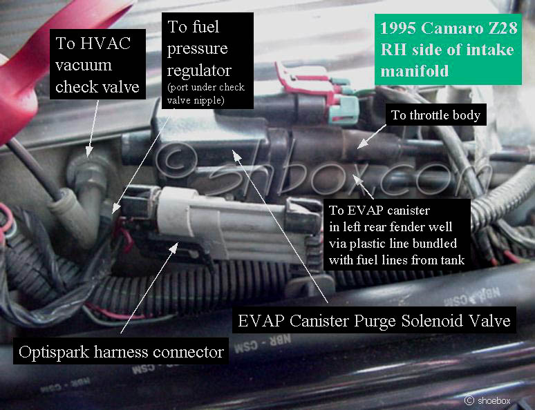 Car Cranks Won T Start Chevy Impala SS Forum